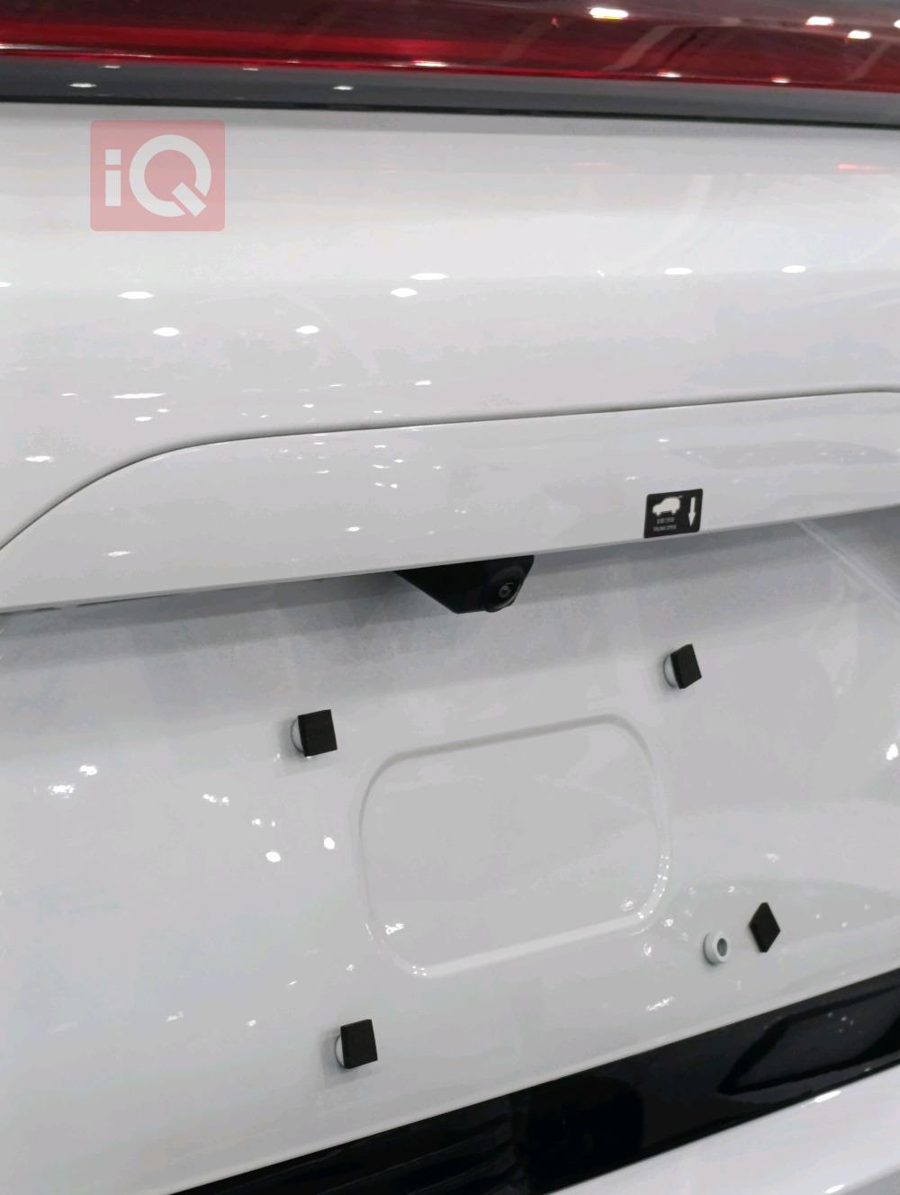 بي واي دي سونغ L DM-i